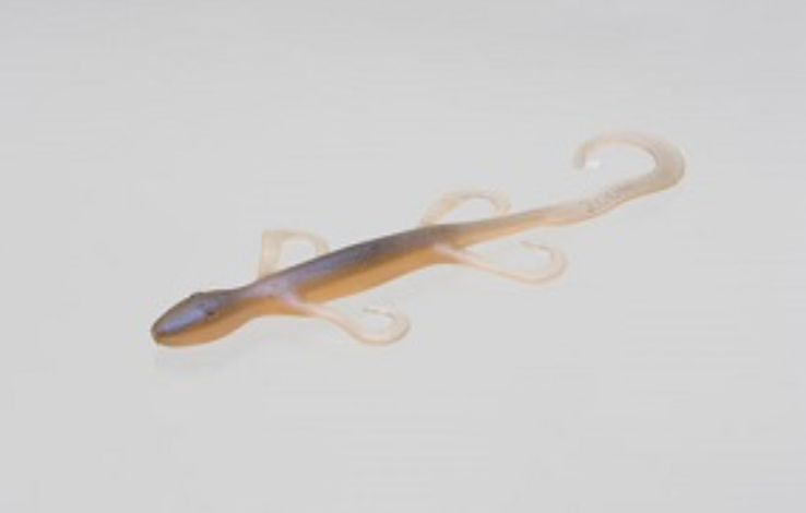 Zoom Better than Salt Lizzard