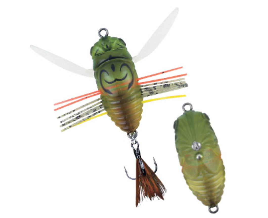 Duo Realis shinmushi