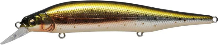 Ito-Shiner