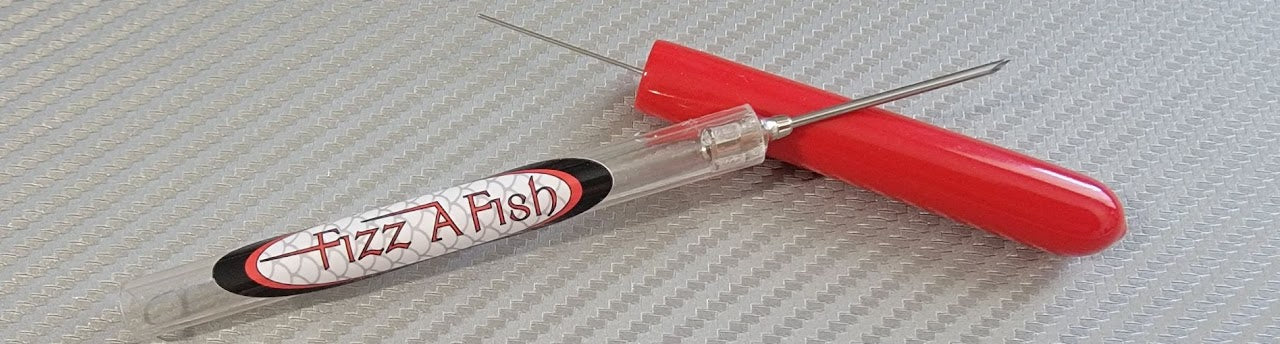 Fizz a Fish