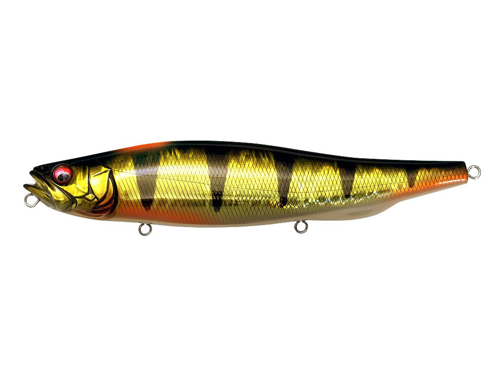 Megabass Megadog-X