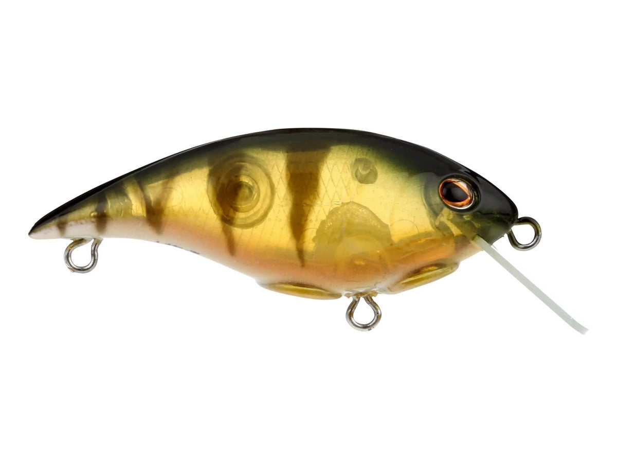 Berkley Shallow Money Badger