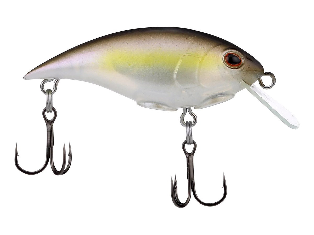 Berkley Shallow Money Badger