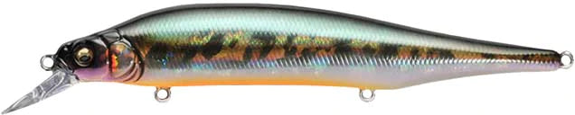Megabass Ito Shiner