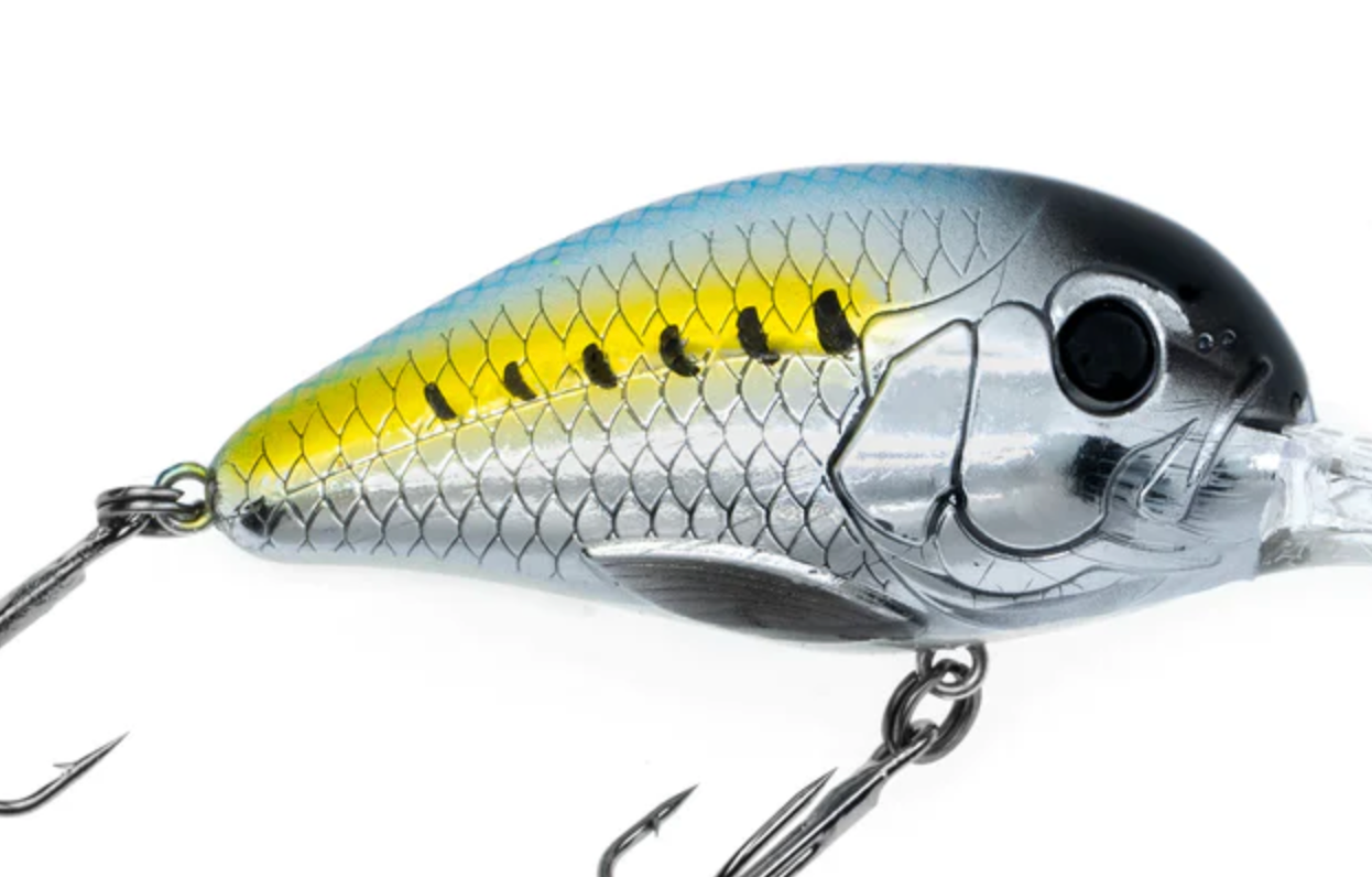 Freedom Rad Crank Bait 3.0