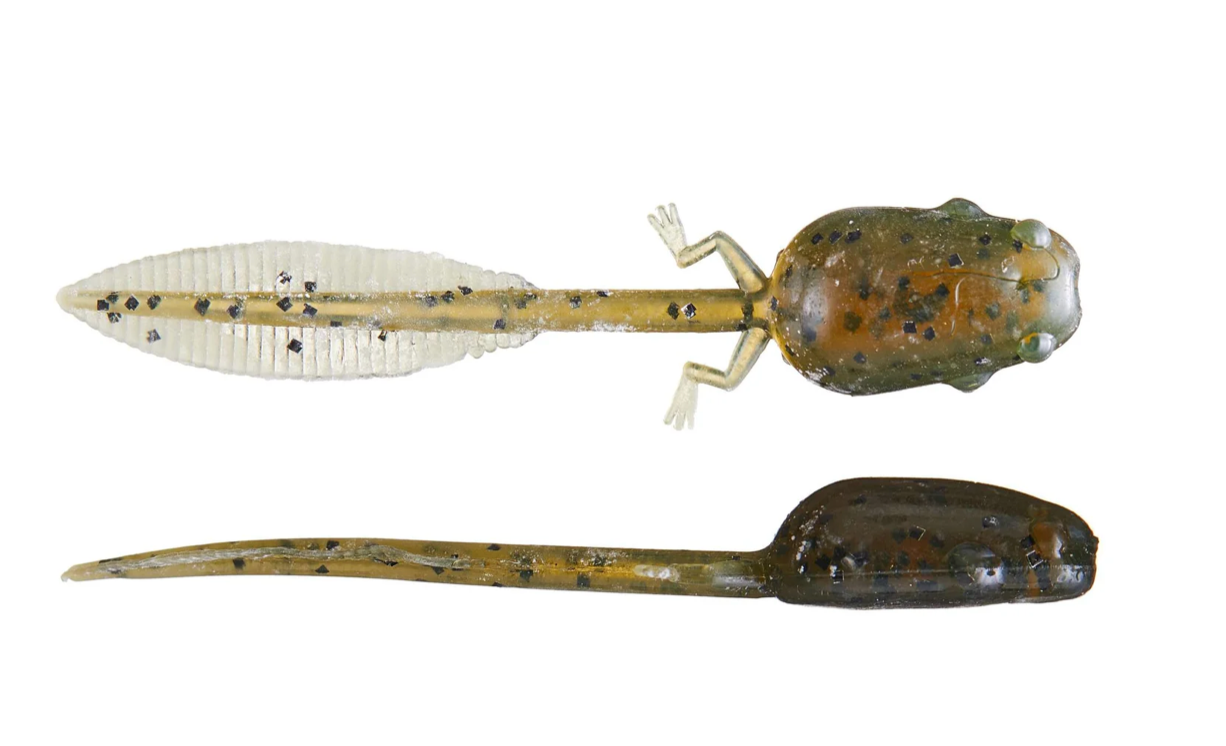 Zaza Tadpoles