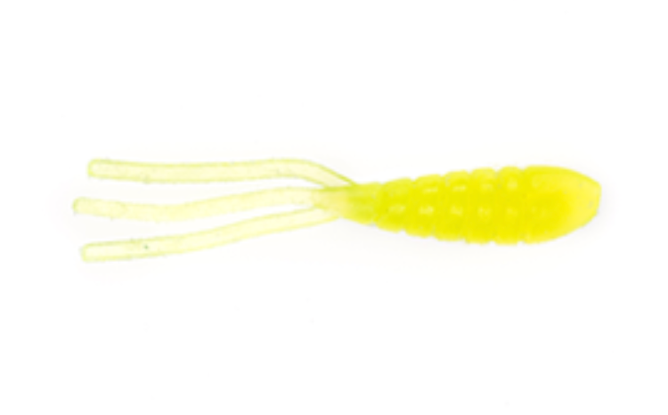 Shrimp Maggot