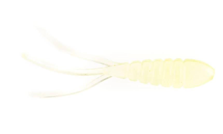 Shrimp Maggot