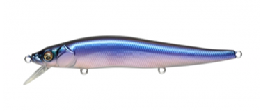 Megabass Vision 110