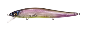 Megabass Vision 110