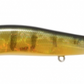 Megabass Vision 110