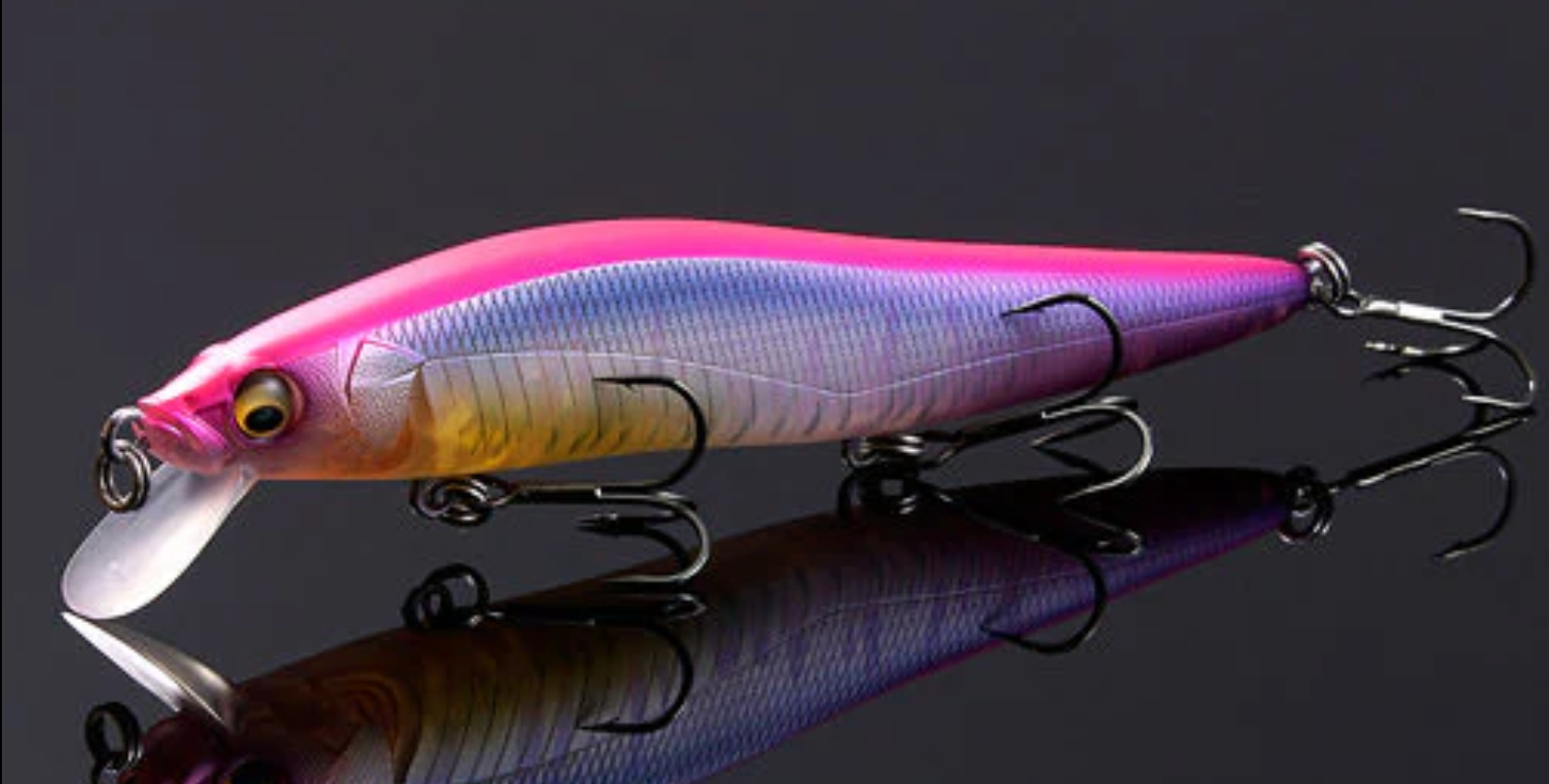 Megabass Vision 110