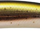 Megabass Ito Shiner