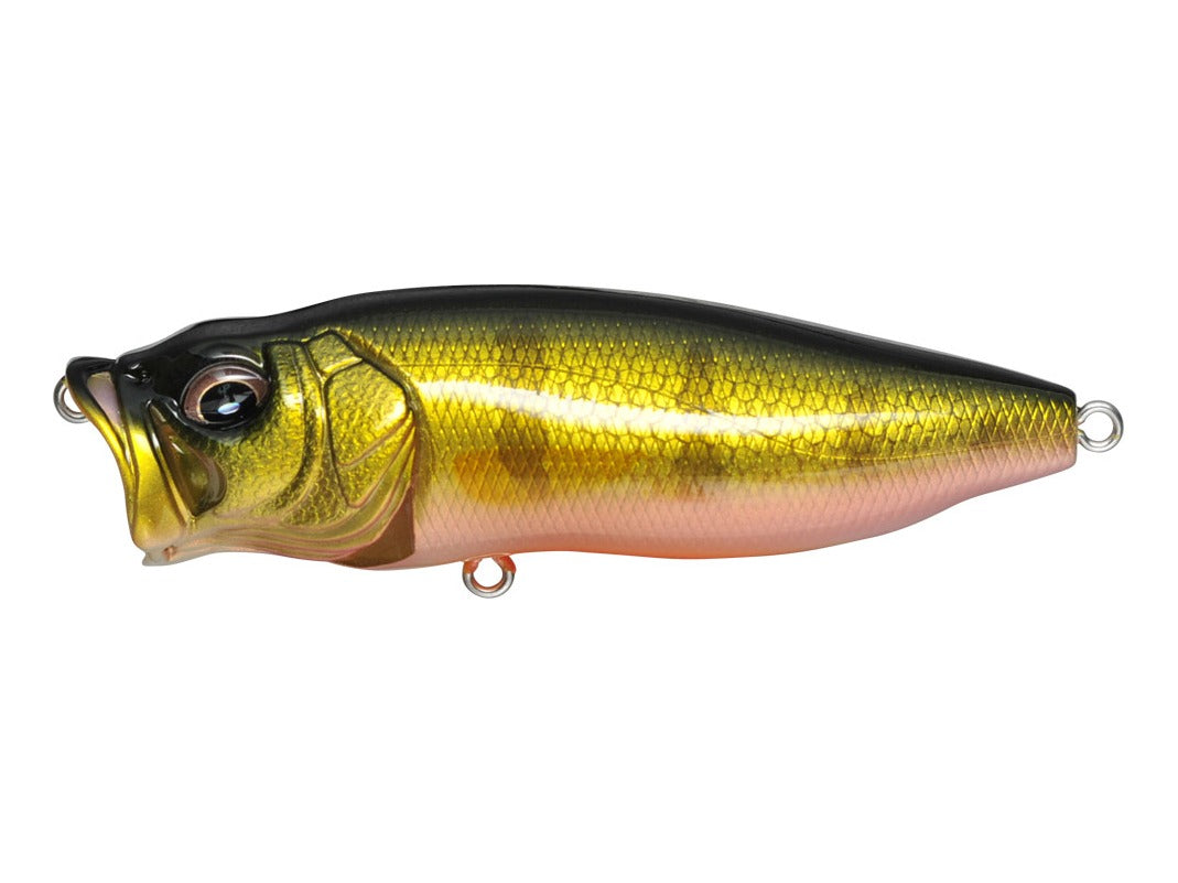Megabass Pop Max